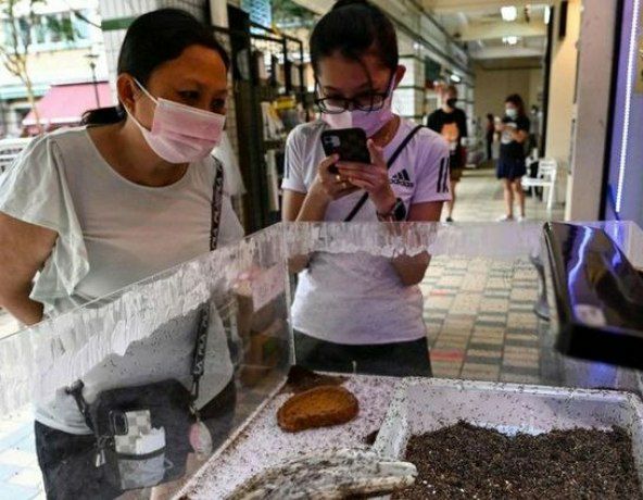 IMG_20201005_173505_968